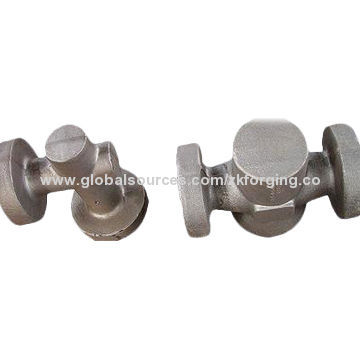 OEM Steel Forged Various Blank Valve Body