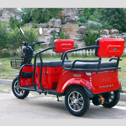 Leisure Scooter Passenger Electric Tricycle untuk dijual