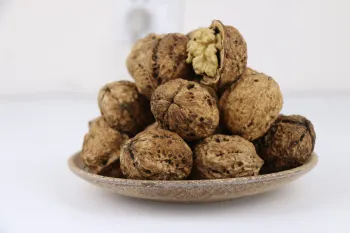 Unwashed Natural In-Shell Walnuts for Baking
