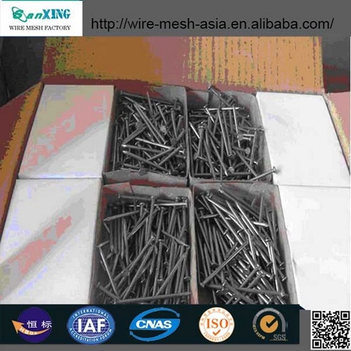 China Black smooth shrank iron common nail Supplier