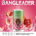 BANG LEADER 20K Puffs Vape Wholesale France