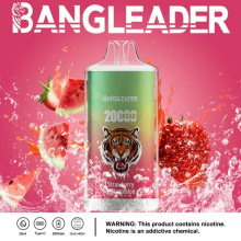 BANG LEADER 20K Puffs Vape Wholesale France