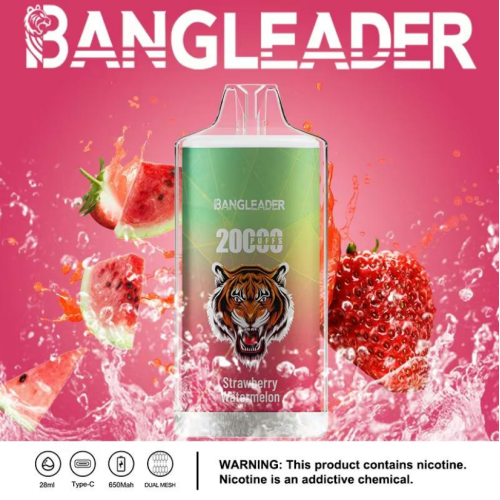 BANG LEADER Original 20000 Puffs E-Cigaratte Wholesale