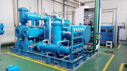 Biogas Compression and Storage Systems: Gas Compressor Skids for Biogas Compression