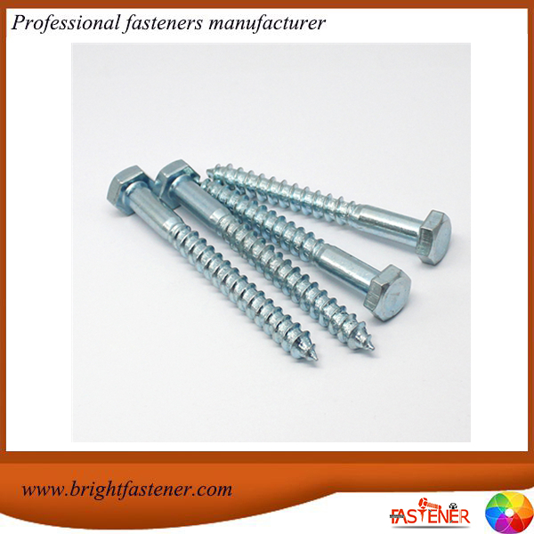 DIN571 screw