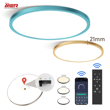 Simple Modern LED Room Ceiling Lamp