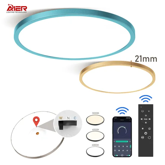 Simple Modern LED Room Ceiling Lamp