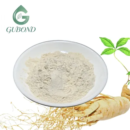 Ginseng Saponins Powder for Nutritional Supplements