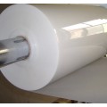 Sheet roll for Thermoforming tray