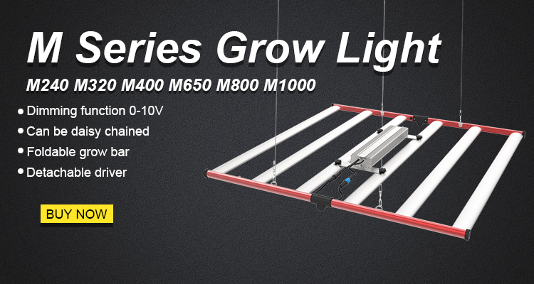650w grow light