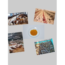 Soy Lecithin Powder High Quality Soy Lecithin Powder Manufactory