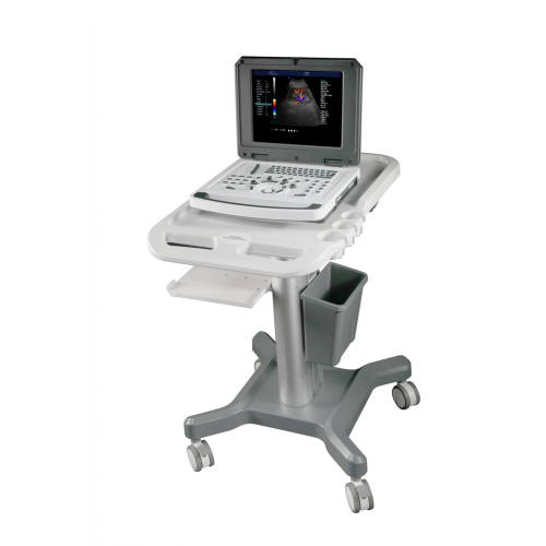 Gynecology Examination Instrument Notebook Color Doppler Ultrasound Scanner for Gynecology Supplier