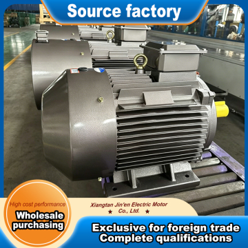 YE3 series high efficiency three phase induction motor