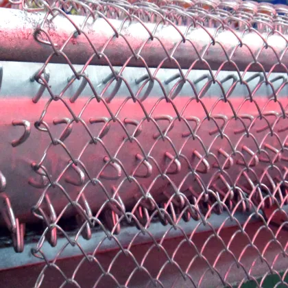 Galvanized Wire Chain Link Fence