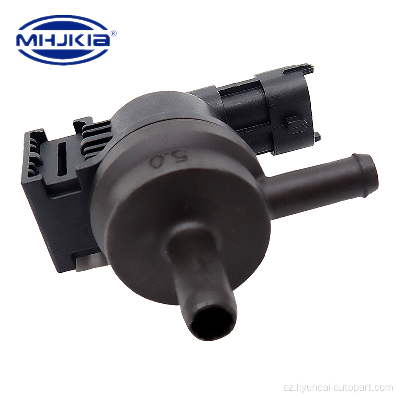 Koreyalı Auto Parts Purge Nəzarət Valve 28910-3c200