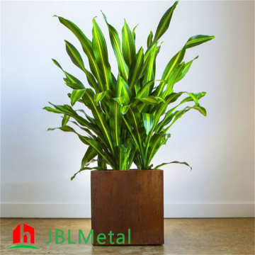 Metal Flower Pot for Plants