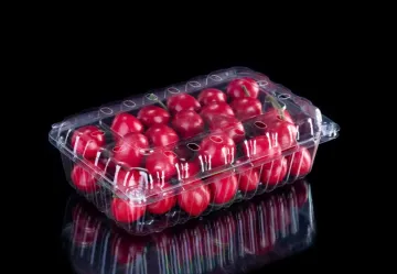 Disposable Blister Clamshell Food Container