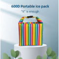 portable gel ice brick pack