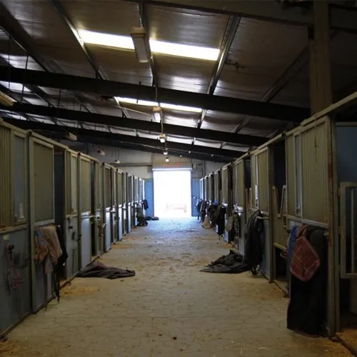 Prefabricated steel horse shed agricultural building