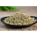 Extratos de ervas Fennel Extract Powder