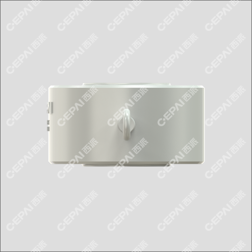 Double plate check valve
