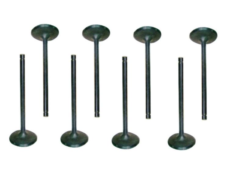 Caterpillar C15 Intake Valve