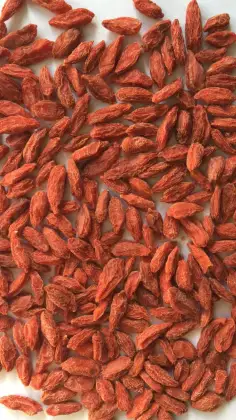Best Quality Black goji berry  black Wolfberry