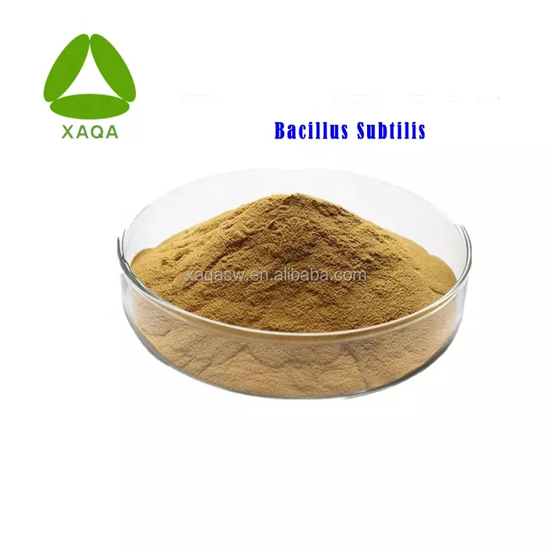 Fermentation Bacillus Subtilis Powder