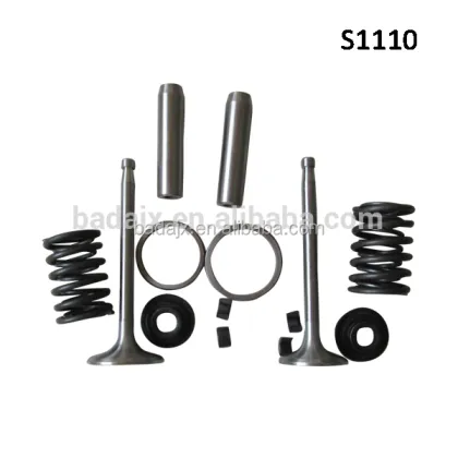 Changfa Diesel Engine S1115 Board Valve Spare Parts