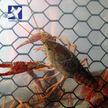 PVC Coated Hexagonal Wire Mesh for Green Chicken Wire