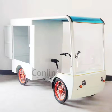 Best 4-Wheel Electric Cargo Bicycle with Rear Box for Sale