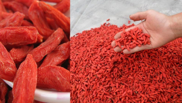size 1000 goji berry