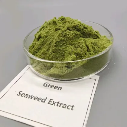 Biostimulant Organic Seaweed Extract
