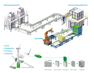 Detergent Powder Secondary Packaging Machine