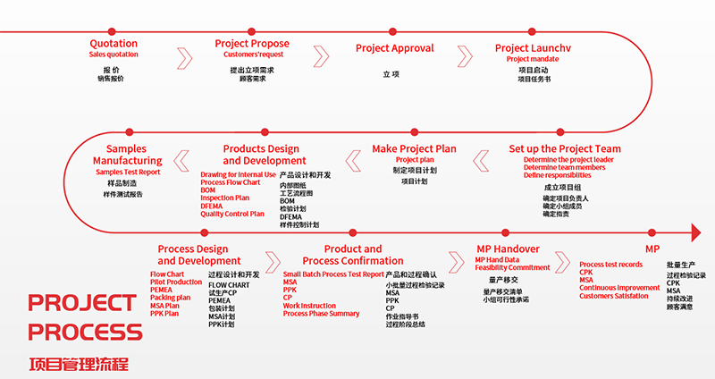 Project Process