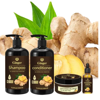 Factory Wholesale Organic Ginger Shampoo for Hair Loss and Regrowth