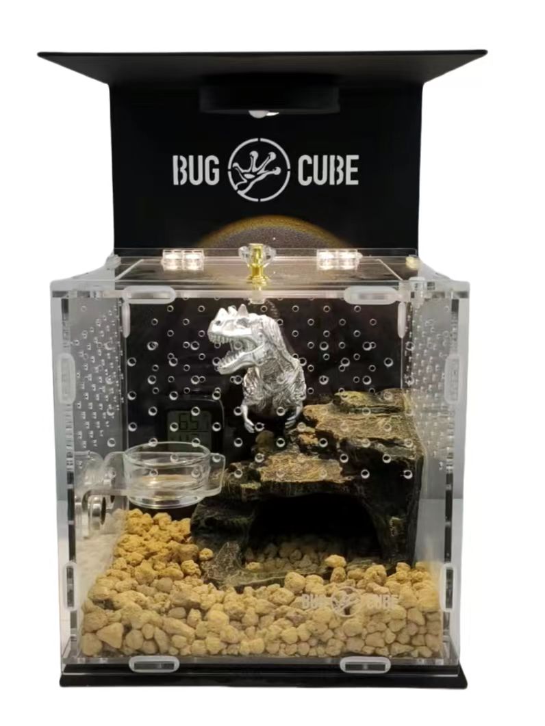 _20250314124003 _20250314124003