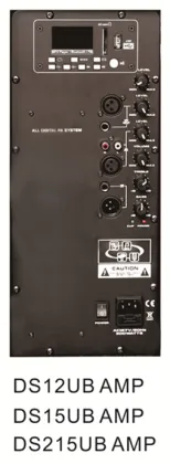 Class D 200 Watt Rms 2 Way Amplifier Digital Speaker