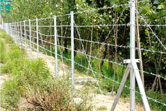 Barbed Wire Fence