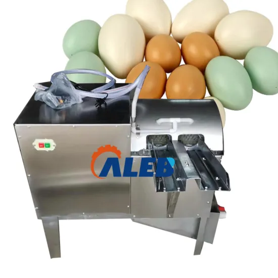 Automated Egg Washing and Cleaning Machines for Commercial Use