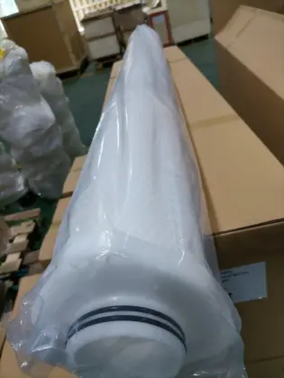 Pentair water filter cartridge ALN01-60B