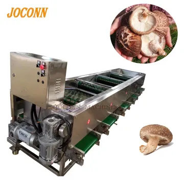 High Quality Shiitake Mushroom Growing Equipment: Selecting, Grading, and Root Removal Machine