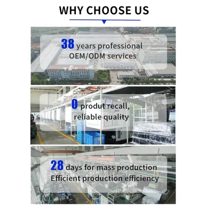 Multipurpose Mini Electric Noodle Pot - Portable Electric Hot Pot for Cooking