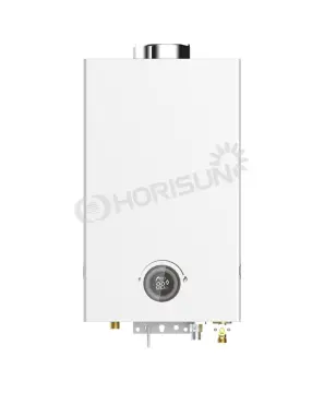Flue Type Gas Water Heater-ONE Knob