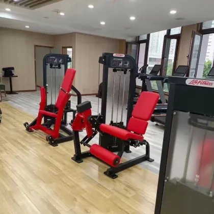 Thigh Extension Trainer Seated Leg Extension