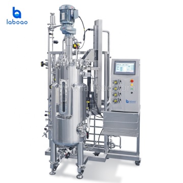 Stainless Steel Fermentor Bioreactor Stirred Tank