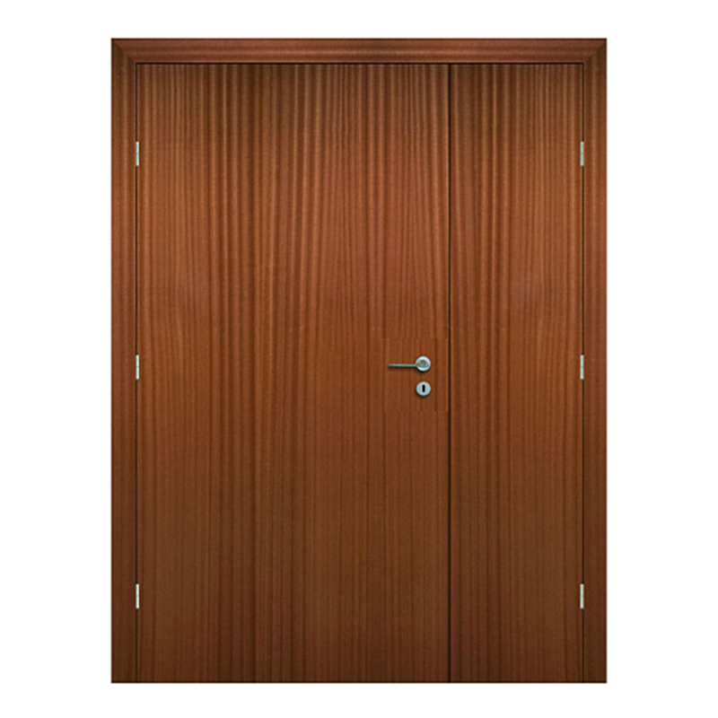 Hollow Veneer Hospital Doors