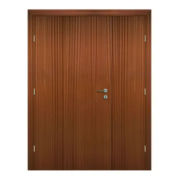 Hollow Veneer Hospital Doors