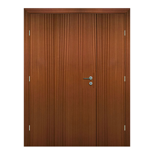 Hollow Veneer Hospital Doors