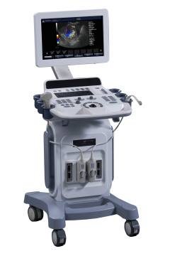 Ultrasound Guidance System